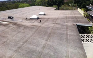 Flat Roof Coatings